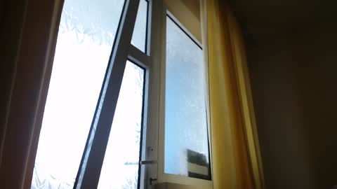 Steven online show from 02.19.25