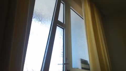 Steven online show from 03.05.25