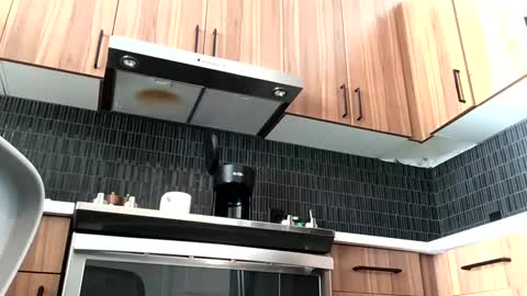 Snapshot of stlhotwifeguy chatting on 02.14.25 stlhotwifeguy online show from 02.14.25