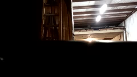 Oval2022 online show from 12.16.24