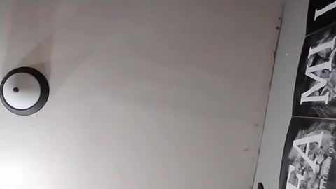 Oval2022 online show from 03.26.26