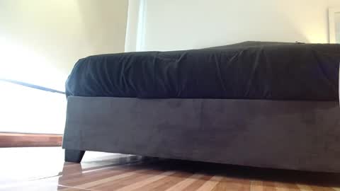 Snapshot of storm_hanks chatting on 01.14.26 storm_hanks online show from 01.14.26