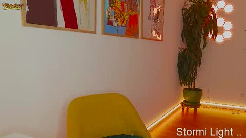 Snapshot of stormi_light chatting on 02.05.26 Stormi online show from 02.05.26