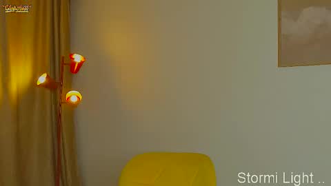 Snapshot of stormi_light chatting on 03.02.26 Stormi online show from 03.02.26