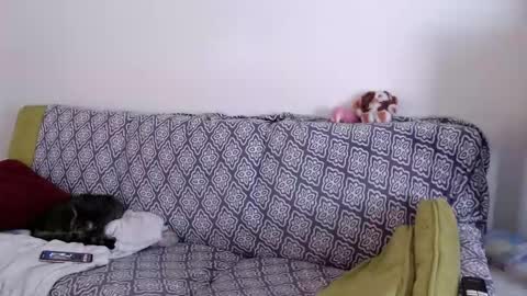 Strawberrylotsacake online show from 03.26.26