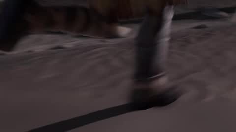 stream247_v2 online show from 01.15.26