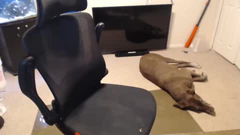 Snapshot of subryan03 chatting on 10.15.25 do i have lil tits or pecs online show from 10.15.25