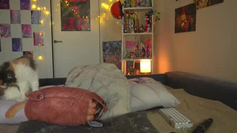 succubus_66 online show from 02.12.25