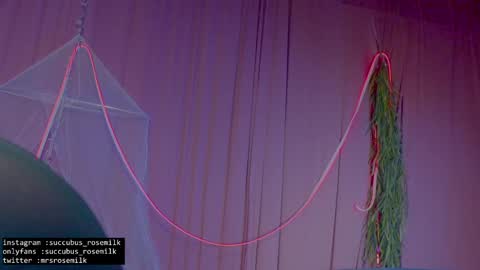 Succubus RoseMilk online show from 01.27.25