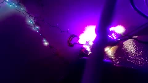 suchadelight online show from 12.30.24