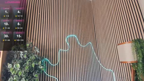 Nelly online show from 02.02.25