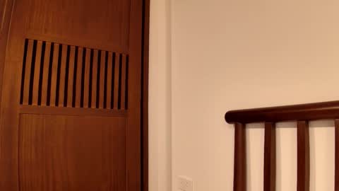 luna online show from 11.29.25