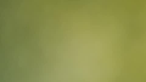 Snapshot of sunshine_days chatting on 12.19.24 Annie online show from 12.19.24