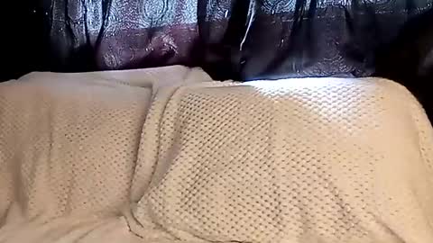 Snapshot of sunshine_days chatting on 03.08.25 Annie online show from 03.08.25