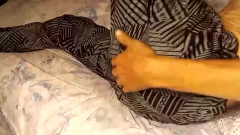 Snapshot of superdavedetailzz2025 chatting on 09.19.25 superdavedetailzz2025 online show from 09.19.25