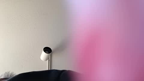 Snapshot of superhornedupgangsta831 chatting on 01.27.25 SuperhorndupGangsta online show from 01.27.25