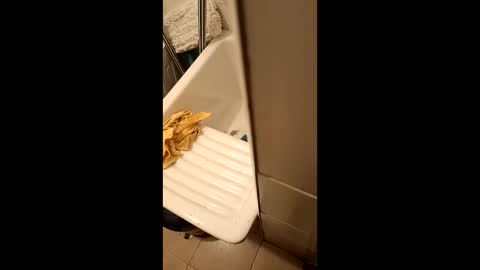 suso9092 online show from 03.23.26