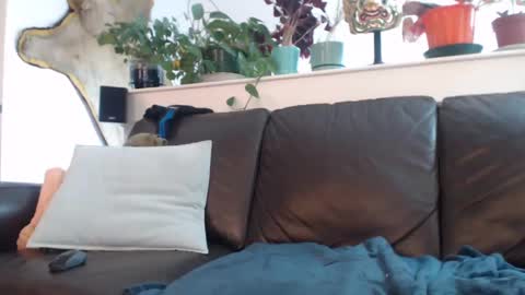 Otto online show from 03.11.25