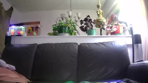 Snapshot of suv1 chatting on 01.16.26 Otto online show from 01.16.26