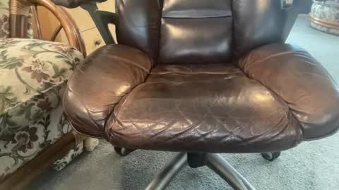 VersDad55 online show from 11.03.25