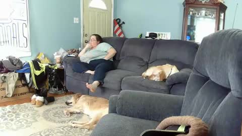 DJ  M 489 Babygirl  F 37 online show from 02.06.25