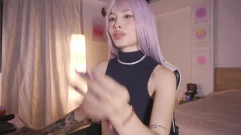 Cat independent model  online show from 03.28.26