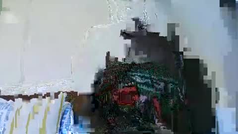 Snapshot of sweetvixen_ chatting on 12.05.24 Cute vixen online show from 12.05.24