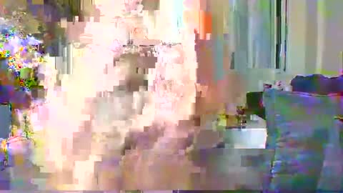 Snapshot of sweetvixen_ chatting on 12.11.24 Cute vixen online show from 12.11.24