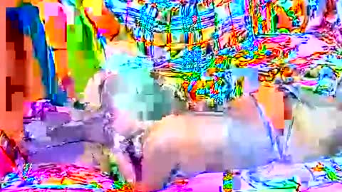 Sweetyummygirl online show from 09.22.25