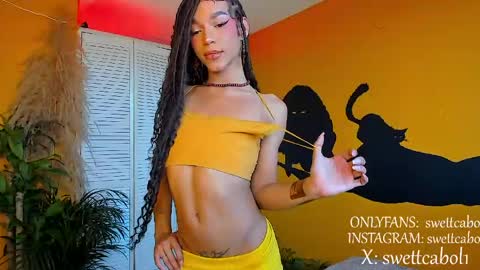 swettcabol online show from 04.16.26