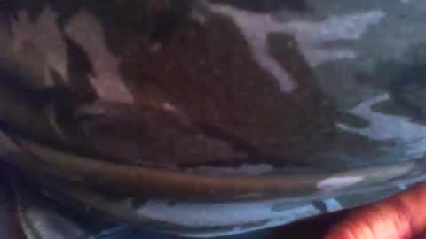 swils67 online show from 04.20.26