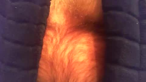 swils67 online show from 04.25.26