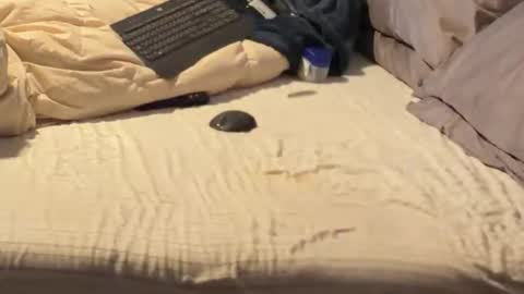 SissyDenver online show from 12.18.25