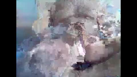 Syme online show from 11.08.25