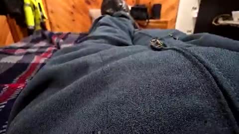 Snapshot of tacitblue7 chatting on 01.11.26 Canon online show from 01.11.26