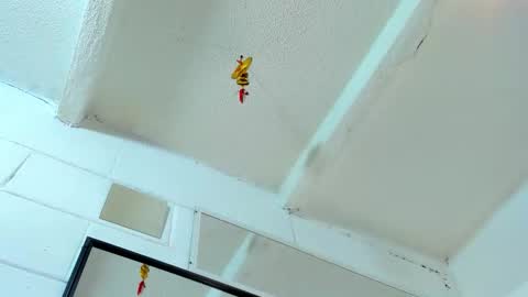 Snapshot of tafari_1 chatting on 03.02.26 Tafari Zulu online show from 03.02.26