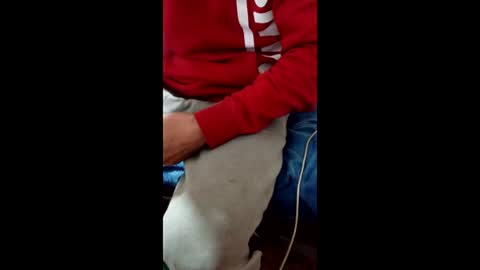 Taitotoito online show from 01.16.26