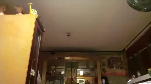 taliban809 online show from 02.18.25