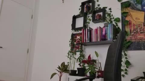 Snapshot of talimajid chatting on 02.16.26 Tali Majid online show from 02.16.26