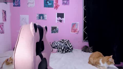 Alejandra Independent model online show from 12.14.24