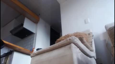 Tamara online show from 02.08.26