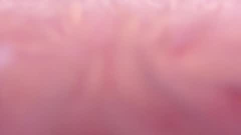 Tamy ian online show from 01.31.25