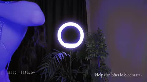 TataCoy online show from 10.30.25