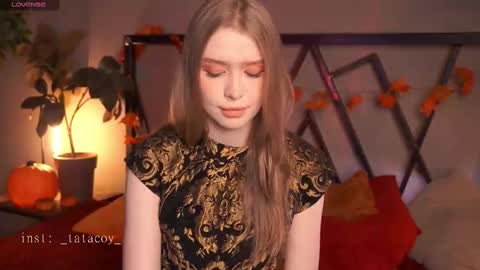 TataCoy online show from 11.11.25