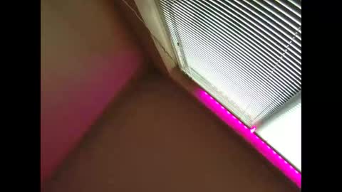 Beliqnegar online show from 03.01.26