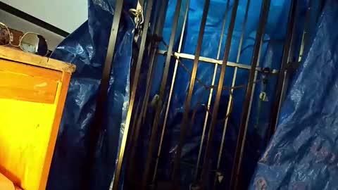 tatonkaboy online show from 04.26.26