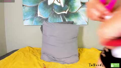 Snapshot of tattoedlexi_ chatting on 04.14.26 tattoedlexi_ online show from 04.14.26
