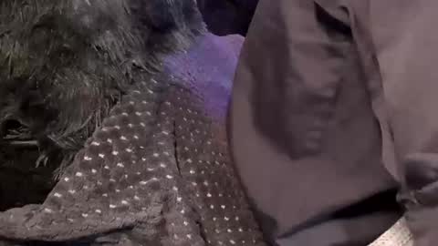 Jean pool online show from 12.15.25