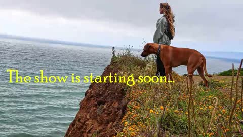 TATUM  ALL MY LINKS  online show from 10.23.25