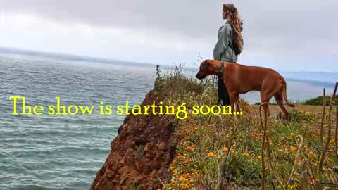 TATUM  ALL MY LINKS  online show from 12.02.25